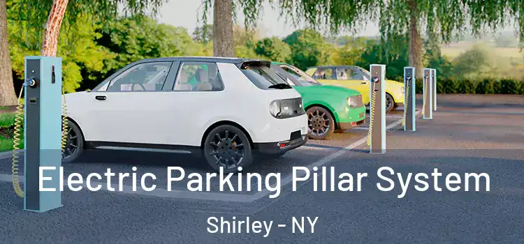 Electric Parking Pillar System Shirley - NY