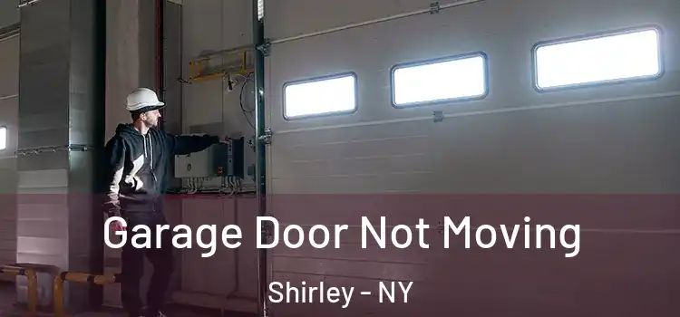  Garage Door Not Moving Shirley - NY