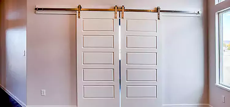Glass Barn Door with Installation Hardware Kit Shirley